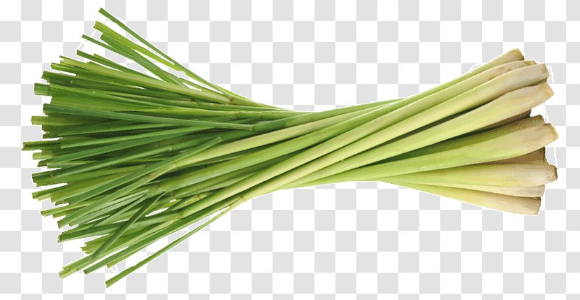 Allium Fistulosum Energy Drink Leek Herb Lemongrass - Welsh Cuisine Transparent PNG