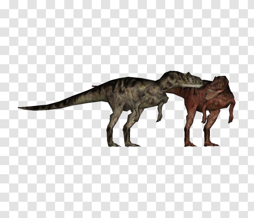 Allosaurus Tyrannosaurus Rex Metriacanthosaurus Library Velociraptor - Suchomimus Zt2 Download Transparent PNG
