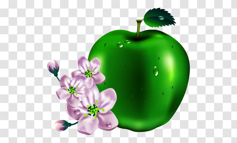 The Basket Of Apples Cartoon - Petal Transparent PNG