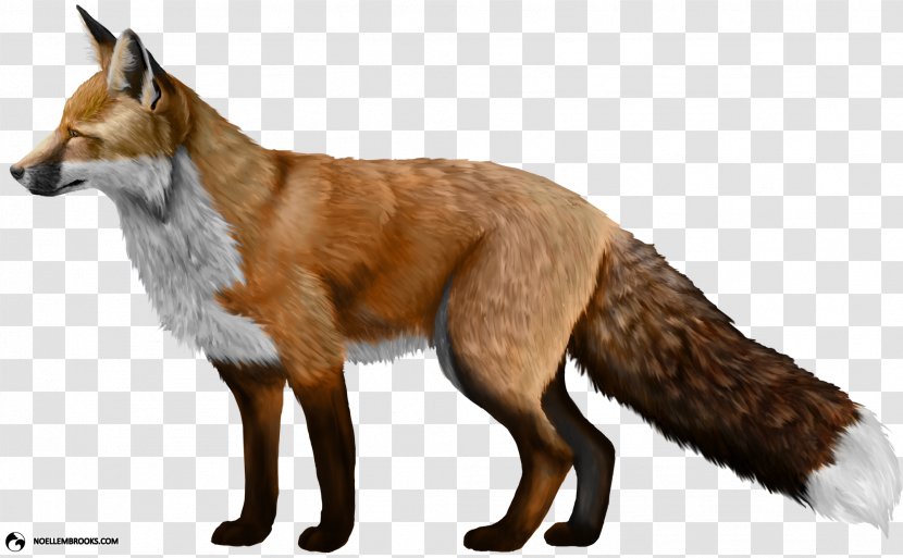 Domesticated Red Fox American Clip Art - Canidae - Painted Cat Transparent PNG