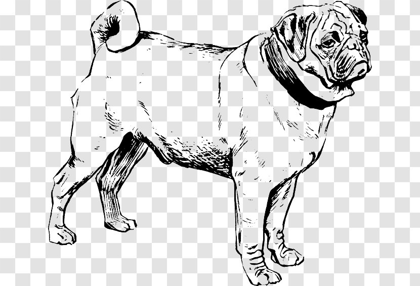 Puggle French Bulldog Chow - Toy Dog - Puppy Transparent PNG