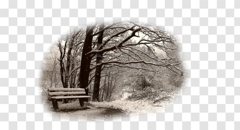 Desktop Wallpaper Landscape Winter Nature Drawing - Photography Transparent PNG