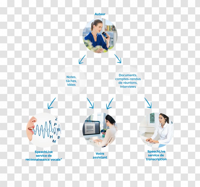 Human Behavior Brand Water Product Design Organization - Diagram - Panel Background Transparent PNG