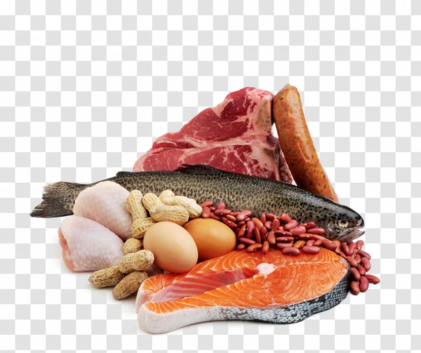 Seafood Meat Fish Protein - Kielbasa Transparent PNG