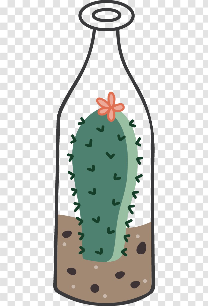 Cactaceae Cartoon Illustration - Organism - Bottle Cactus Transparent PNG