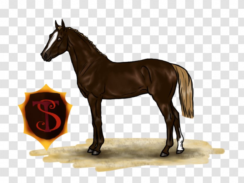 Mane Mustang Stallion Mare Foal Transparent PNG