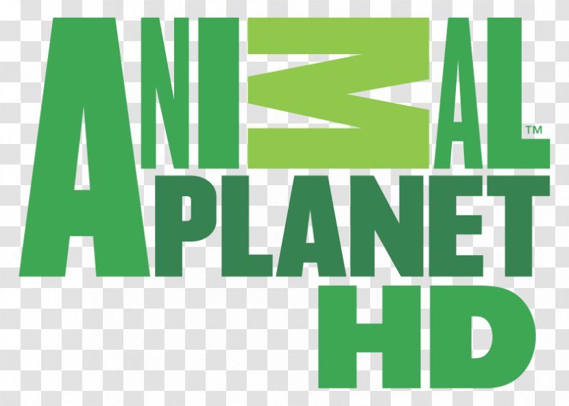 Logo Animal Planet Television Channel Boomerang - Area Transparent PNG