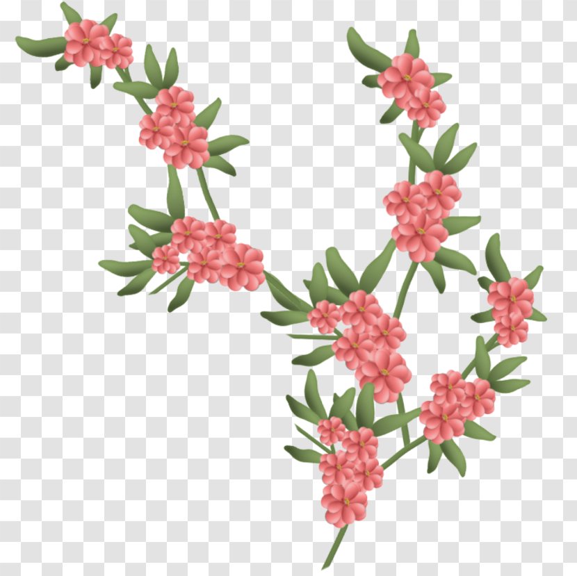 Cut Flowers Blume - Flowering Plant - Flower Transparent PNG