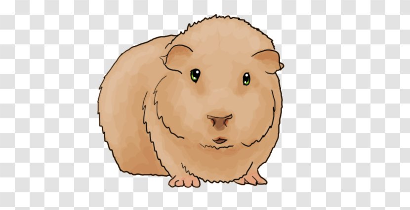 Guinea Pig Whiskers Cat Snout - Fauna - Pigs Transparent PNG