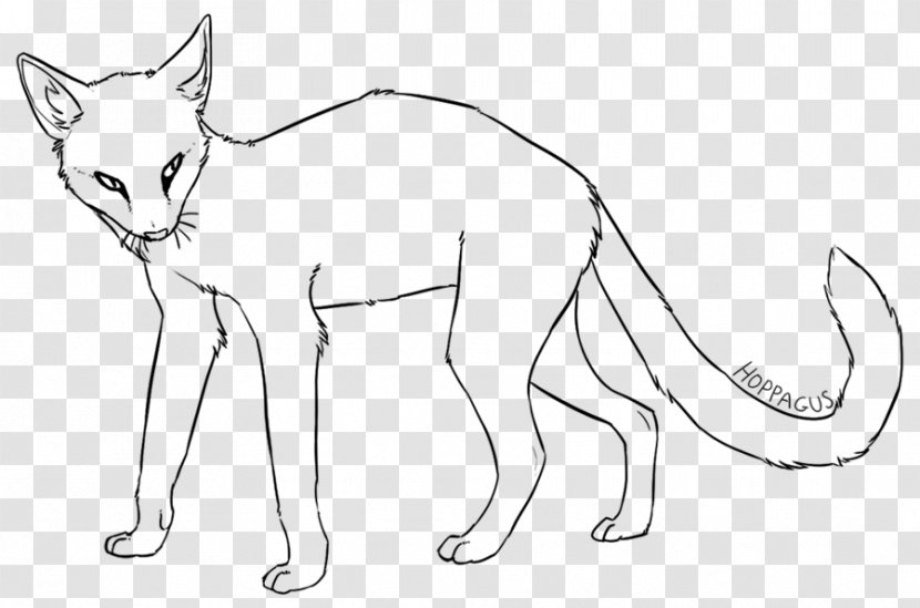 Whiskers Line Art Cat Tail Red Fox Transparent PNG