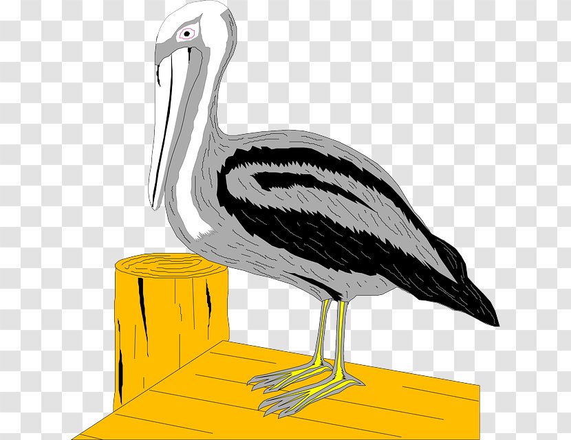 Pelican Stork Bird Clip Art Transparent PNG