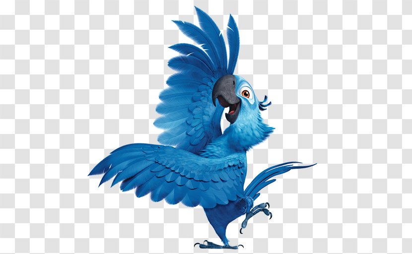 Macaw Parrot Fauna Perico Illustration - Beak - Rio2 Blu 4 Transparent PNG