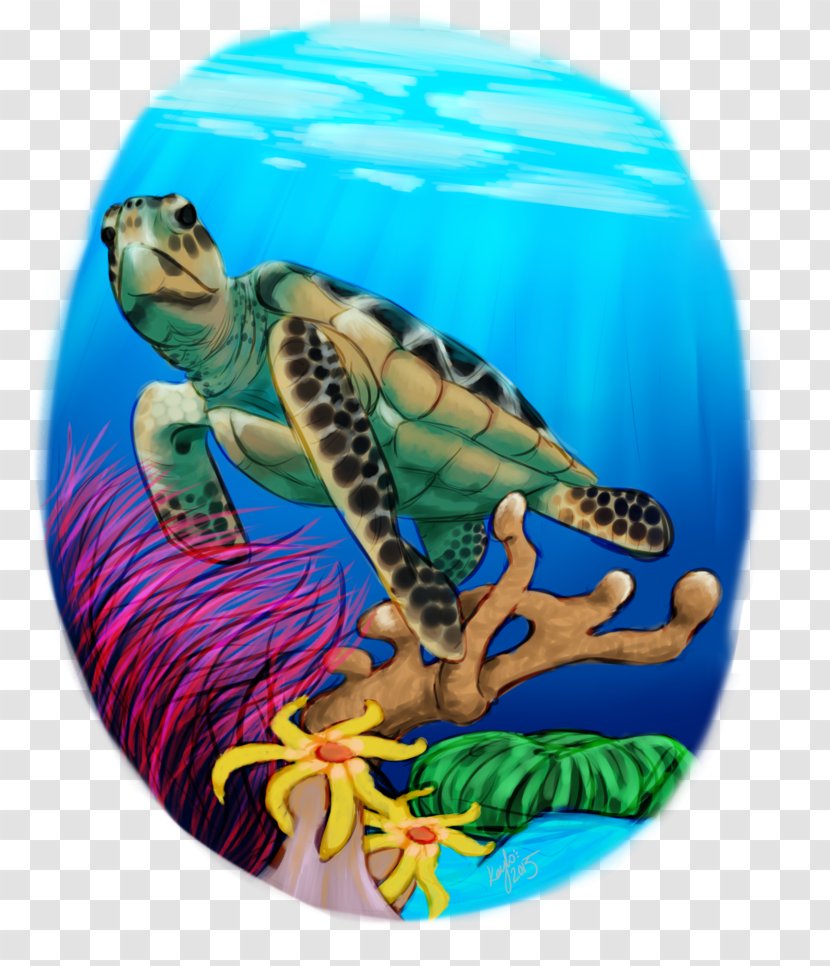 Sea Turtle Tortoise Marine Biology Transparent PNG