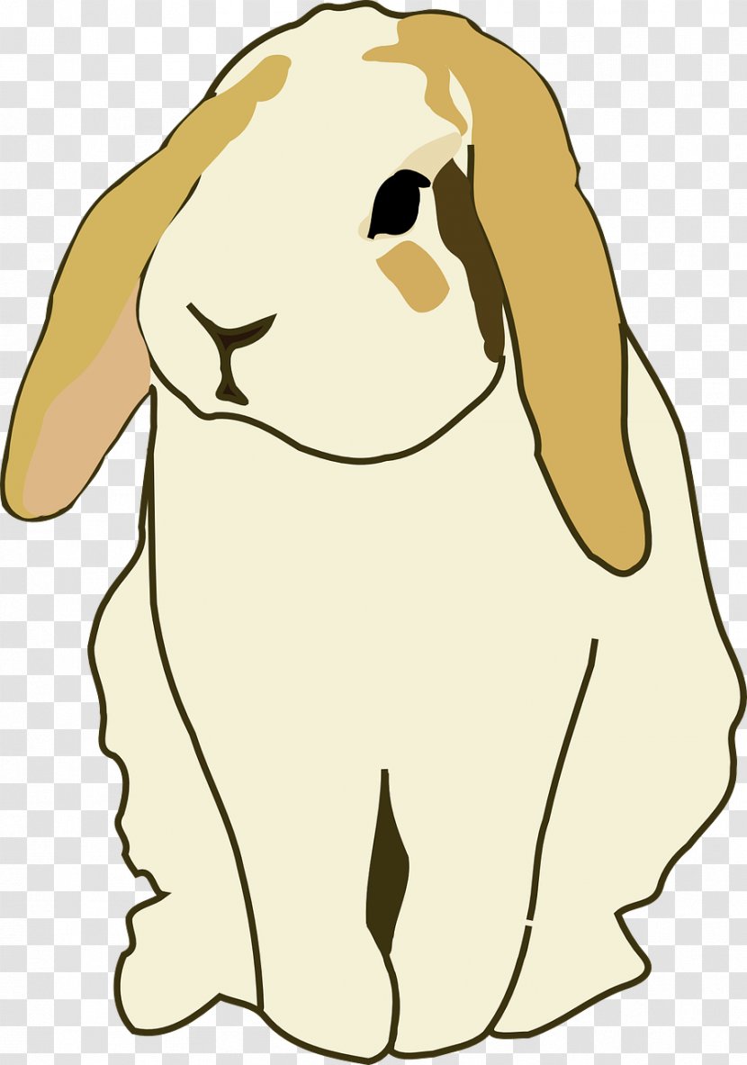 Holland Lop Easter Bunny Mini Thu1ecf Tai Cu1ee5p Hare - Snout - Cute Dog Transparent PNG