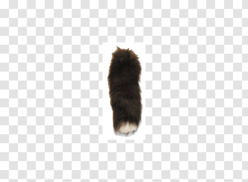 Dog Breed Fur Tail - Carnivoran - Fox No Buckle Diagram Transparent PNG