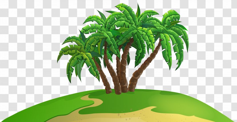 Clip Art - Houseplant - Palm Island Image Transparent PNG