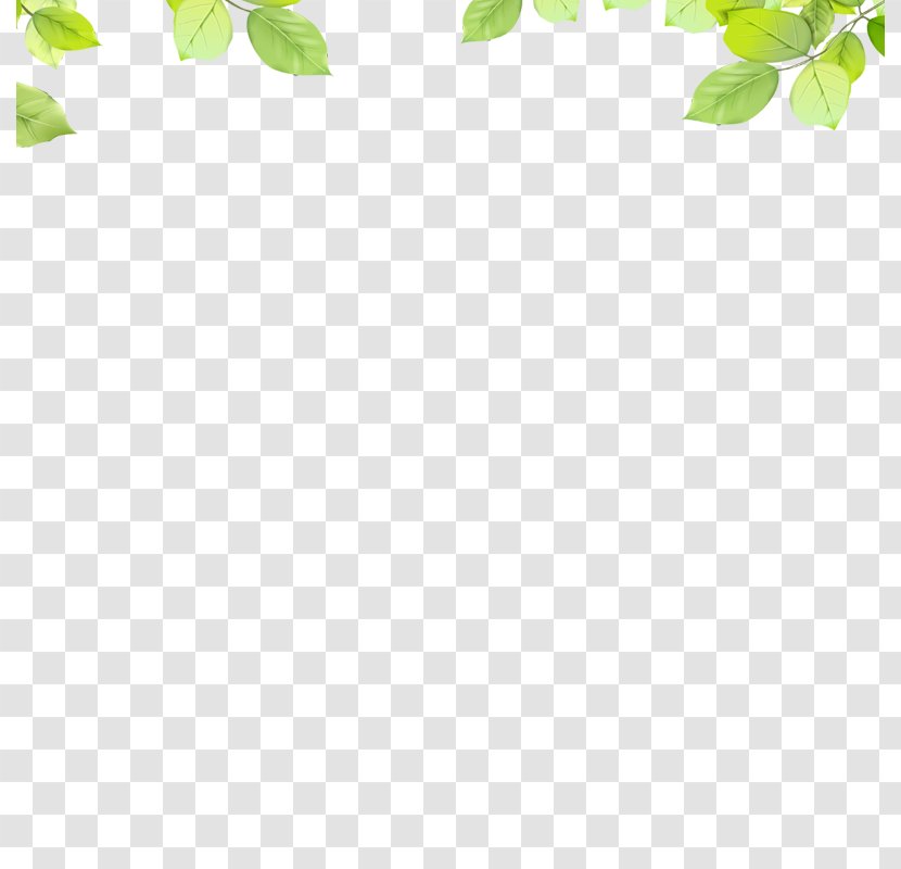 Area Leaf Pattern - Leaves Transparent PNG