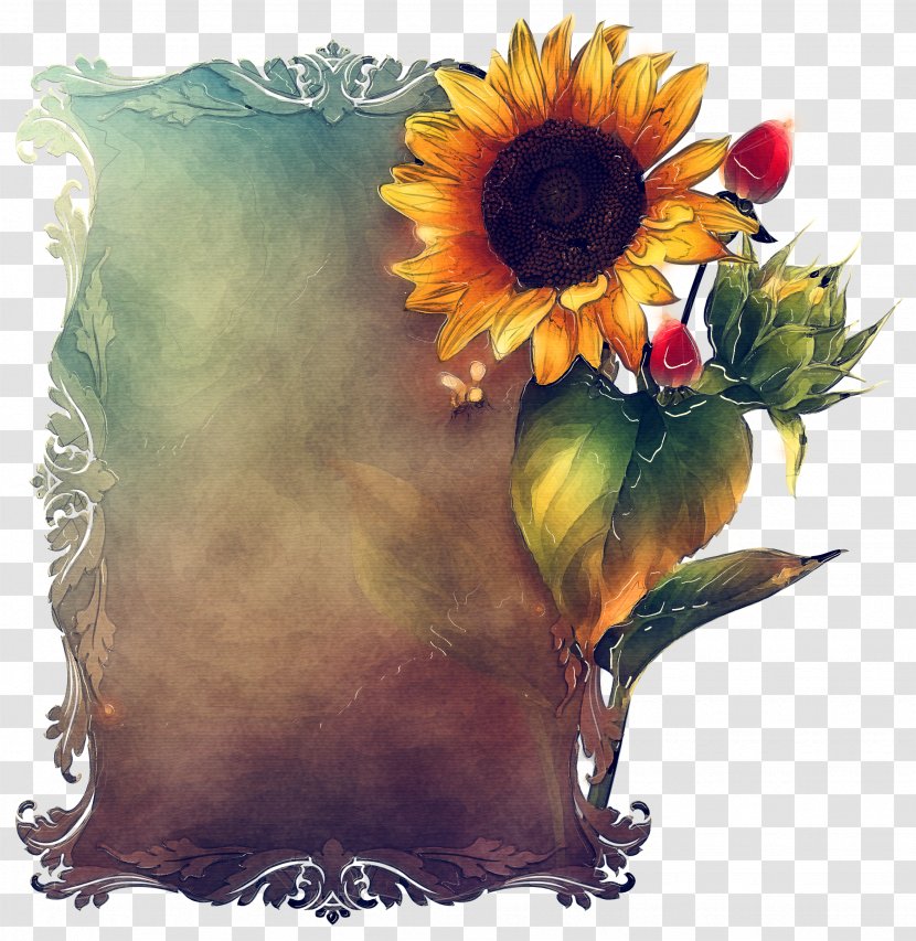 Floral Design - Still Life Photography - Daisy Family Petal Transparent PNG