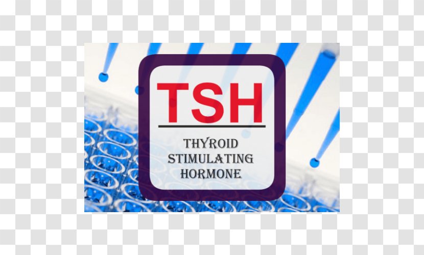 Thyroid-stimulating Hormone ELISA Follicle-stimulating - Thyroidstimulating - Budai Transparent PNG