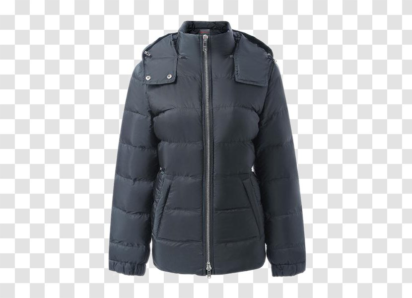 Nylon Jacket Zipper Hood Textile - Closure Ladies Short Paragraph Transparent PNG