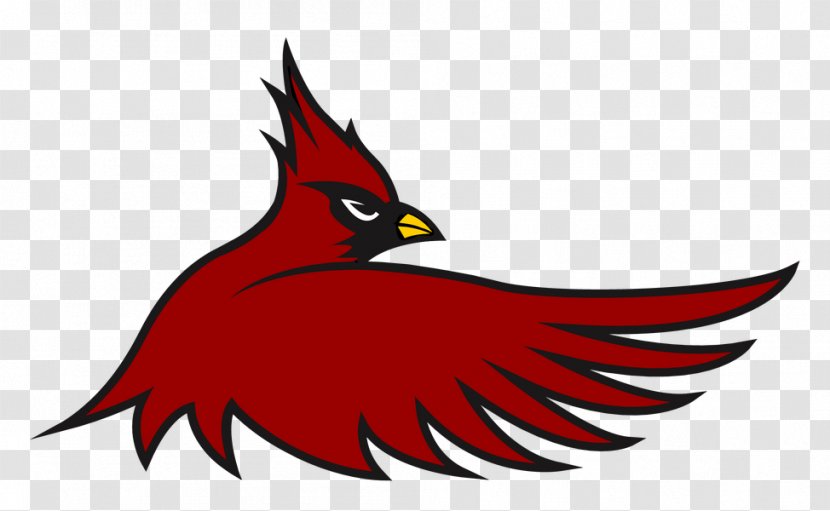 Cardinal Hayes High School Arizona Cardinals St. Louis American Football NFL - Bird Transparent PNG
