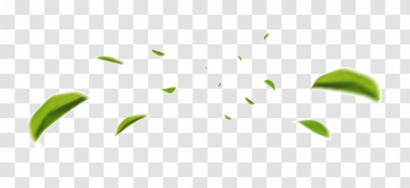 Leaf Desktop Wallpaper Tmall Plants - Petal - Green Foliage Transparent PNG