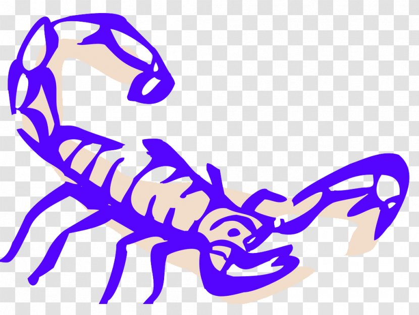 Scorpion Drawing Clip Art - Artwork - Exaggerated Lines Painted Purple Transparent PNG