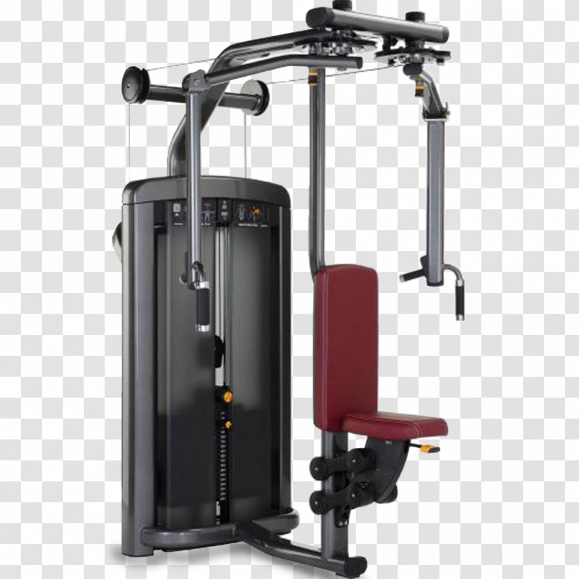 Machine Fly Deltoid Muscle Rear Delt Raise Pectoralis Major - Exercise Equipment Transparent PNG