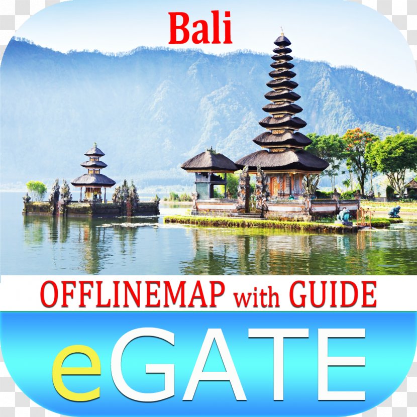 Ubud Monkey Forest Kintamani, Bali Bedugul Package Tour Tourist Attraction - Leisure Transparent PNG