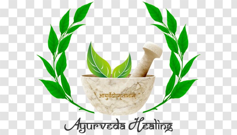 All India Institute Of Ayurveda, Delhi Ayurvedic Home Remedies National Ayurveda Medicine - Health Transparent PNG