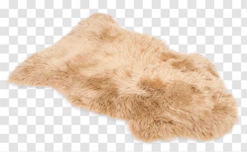 Fur Snout - Wool - Chaff Transparent PNG