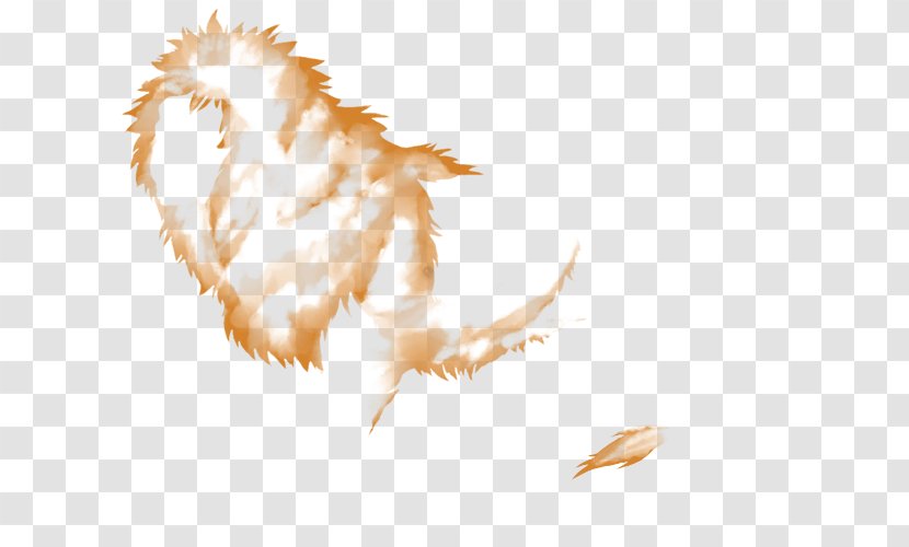 Lion Hunger Male Feather Beak Transparent PNG