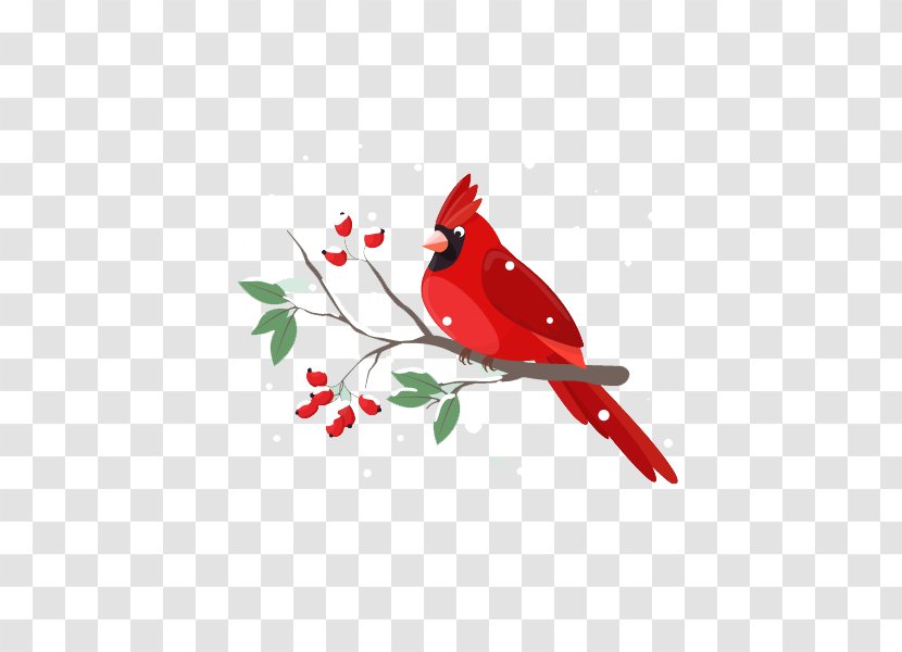 Bird Illustrator Illustration - Flat Branches Transparent PNG