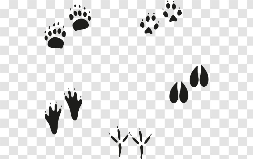Euclidean Vector Animal Footprint - Monochrome - Footprints Transparent PNG