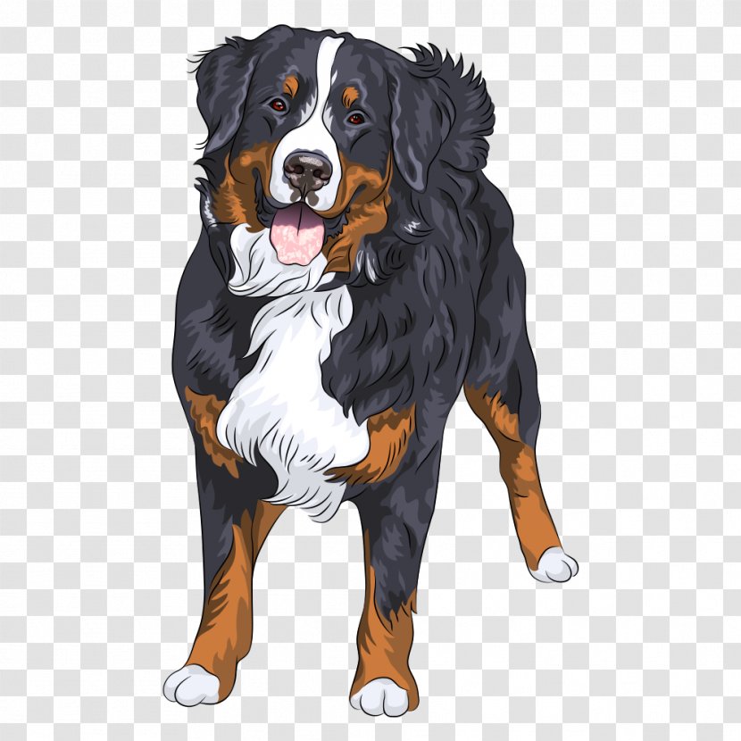 The Bernese Mountain Dog Puppy Breed - Carnivoran - Black Pug Transparent PNG