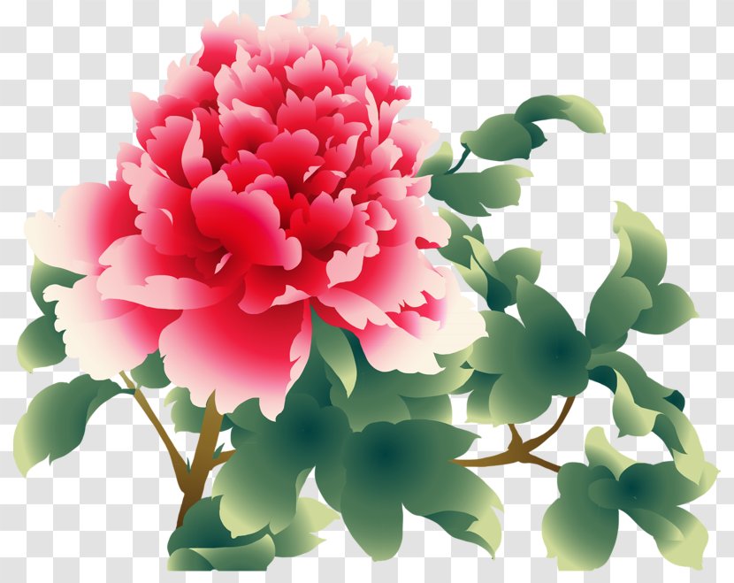 Moutan Peony Download Clip Art Transparent PNG