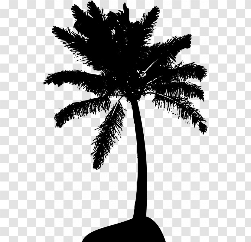 Arecaceae Tree Royalty-free Clip Art - Borassus Flabellifer - Overlooking The Coconut Transparent PNG