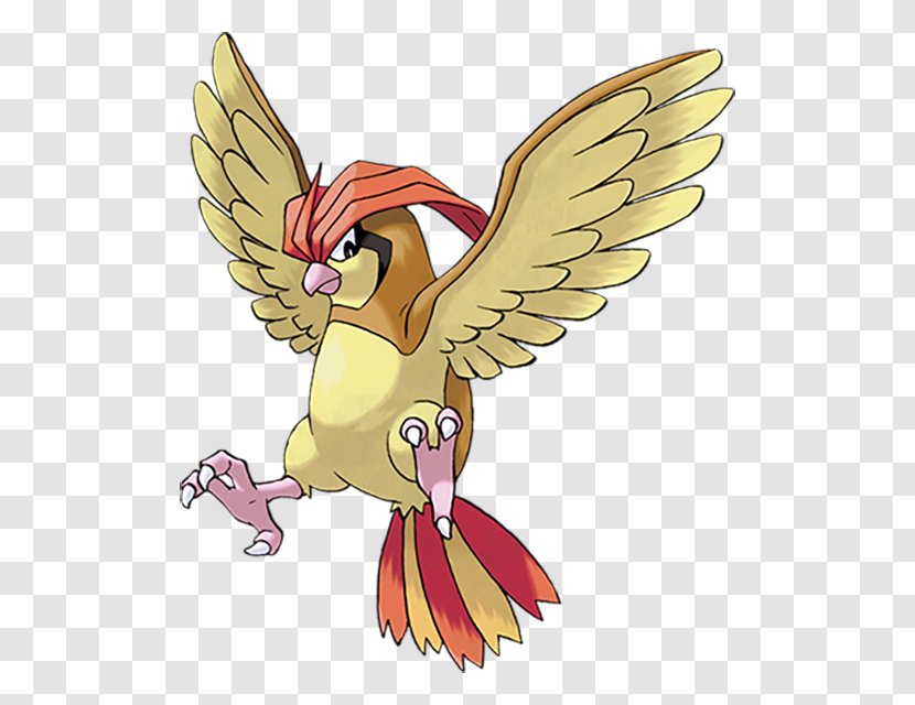 Pokémon X And Y Ash Ketchum Pidgeotto - Pok%c3%a9mon Yellow - Pokemon Irochi Transparent PNG