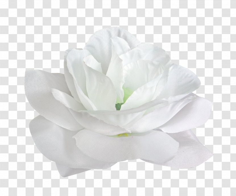 Flower White Petal - Floristry - Rose Transparent PNG