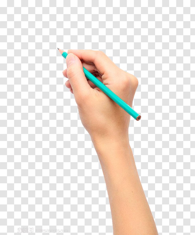 Drawing Pencil - Hand Model - Holding Pen Picture Transparent PNG