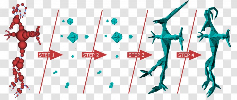 Polygon Mesh Algorithm Generation Human Skeleton Joint - Heart Transparent PNG