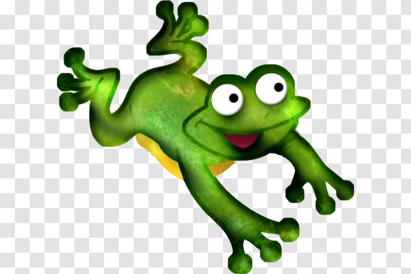 Toad True Frog Tree Drawing - Amphibian Transparent PNG