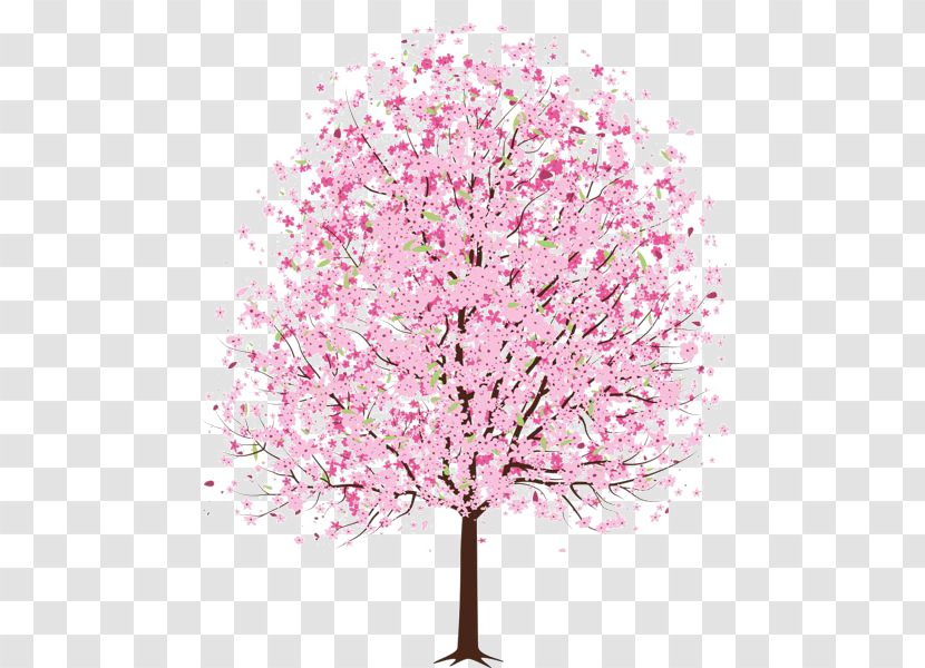 Cherry Blossom Tree Clip Art - Branch - Pink Peach Transparent PNG