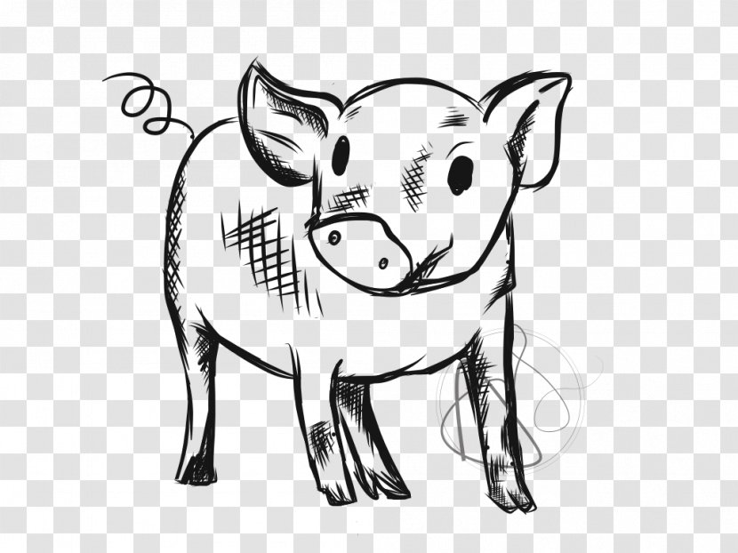 Pig Cartoon - Coloring Book - Tail Wildlife Transparent PNG