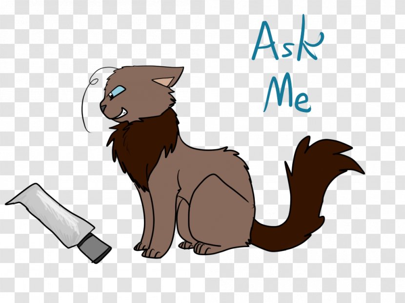 Whiskers Cat Mammal Bear Cougar - Tail Transparent PNG