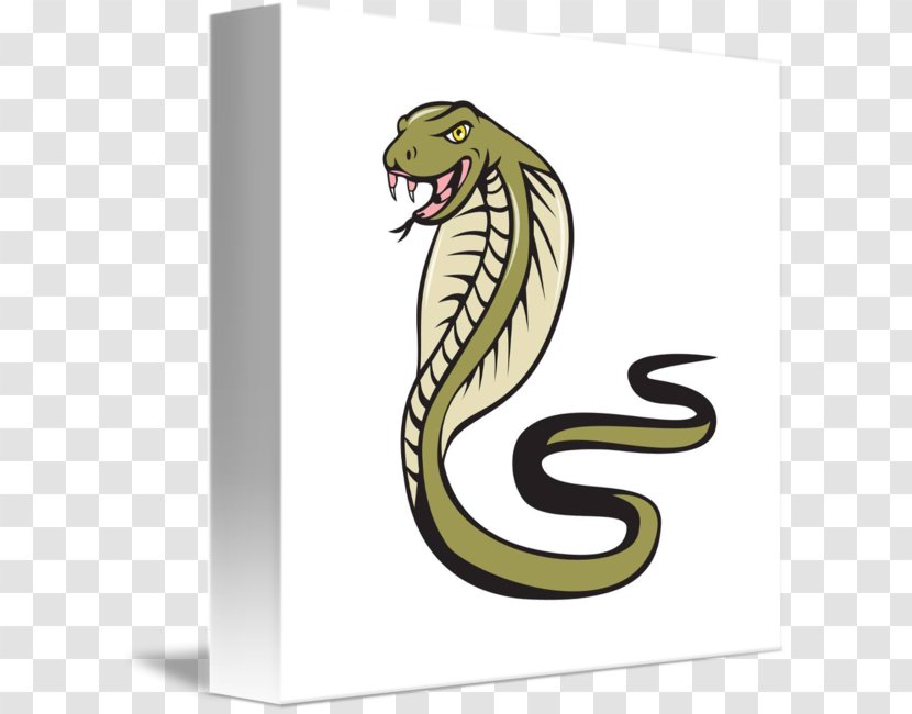 Snake Vipers Drawing Royalty-free - Cartoon Transparent PNG