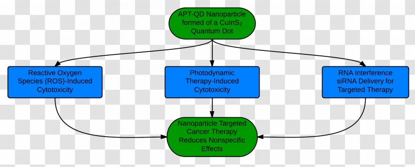 Treatment Of Cancer Targeted Therapy Nanoparticle - Text - Mcf7 Transparent PNG