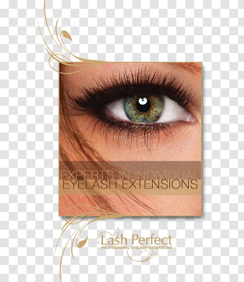 Eyelash Extensions Beauty Parlour Artificial Hair Integrations - Flower - Cartoon Transparent PNG