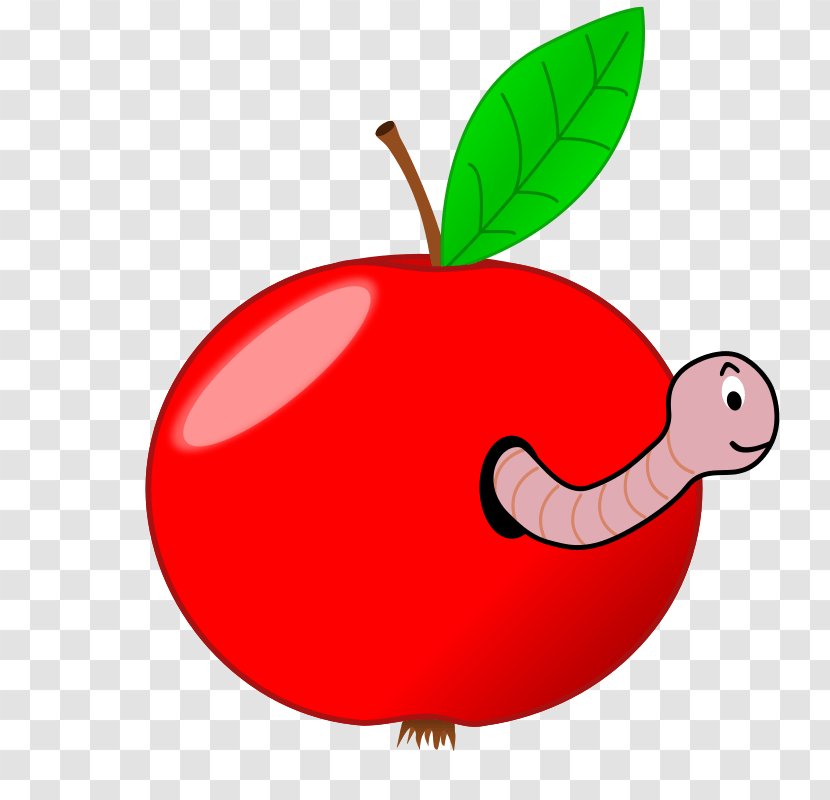 Worm Apple Clip Art - Ladybird Transparent PNG
