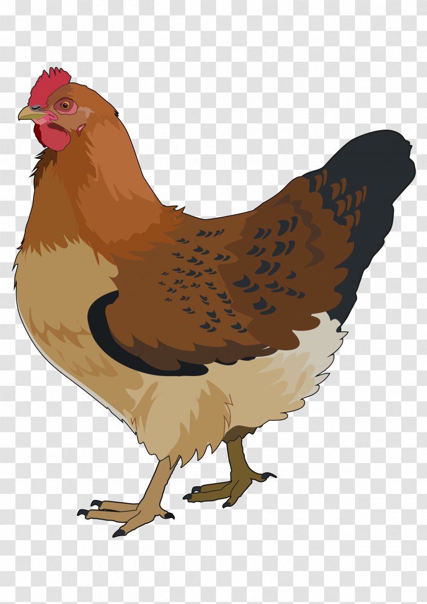 Rooster Chicken Bird Silhouette - Logo Transparent PNG